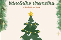 Rozsvěcování Vánočního stromečku v Kralicích 🎄