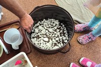 Pokusy s hmotou, hustotou a organismy