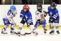 Hoši z prvního i druhého stupně shodně druzí v minihokeji!!!