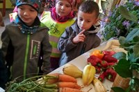 Výstava ovoce a zeleniny na zámků v Neplachovicích