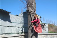 Škola čar a kouzel v Bradavicích - Skorošicích