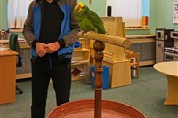 Papoušci v naší školce