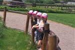 cdcecd9078f54889b0c3fd7ff79df2d