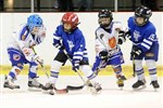 11_minihokej_123111_denik-380.jpg